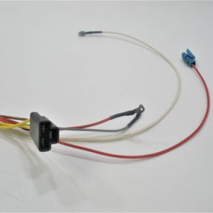 mickel-dhanoolal-feu-scaled