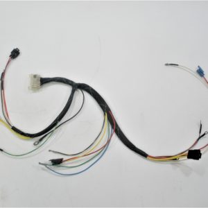 mickel-dhanoolal-ij-scaled