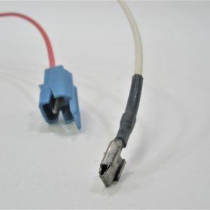 mickel-dhanoolal-iuf-scaled