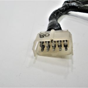 mickel-dhanoolal-w-2-scaled