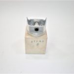 erik-ap-cast-piston-oijhbvtyujigjsdvfbghjkrtyuifg--scaled