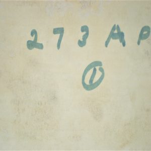 erik-ap-cast-piston-oijhbvtyujigjsdvfbghjkrtyuifg-1-1-scaled