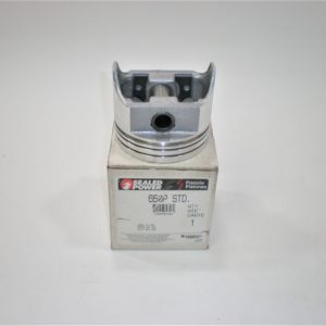 erik-p-cast-dish-piston-lkjhgfdoiuytrsdfvedfghasdfvgbh--scaled