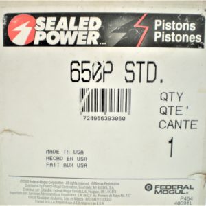 erik-p-cast-dish-piston-lkjhgfdoiuytrsdfvedfghasdfvgbh-1-1-scaled