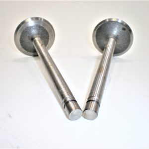erik-trw-v-intake-valve-asdfglkjhyuiorewgbhn-1-6-scaled