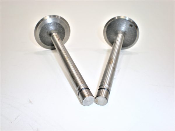 erik-trw-v-intake-valve-asdfglkjhyuiorewgbhn-1-6-scaled