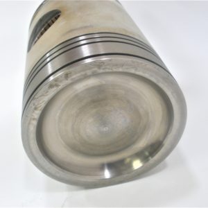 mickel-dhanoolal-fp-diesel-opdfkgvopgjkpoerjg-1-9-scaled