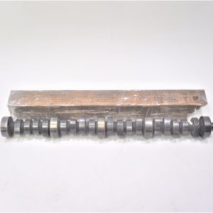 big-joe-camshaft-kjsdfn-vdsfnvkjsdgpbnsdb-hskdb--scaled