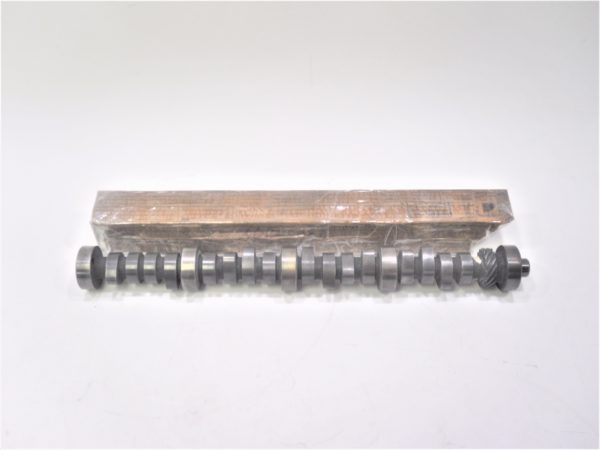 big-joe-camshaft-kjsdfn-vdsfnvkjsdgpbnsdb-hskdb--scaled