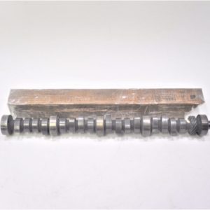 big-joe-camshaft-kjsdfn-vdsfnvkjsdgpbnsdb-hskdb--scaled