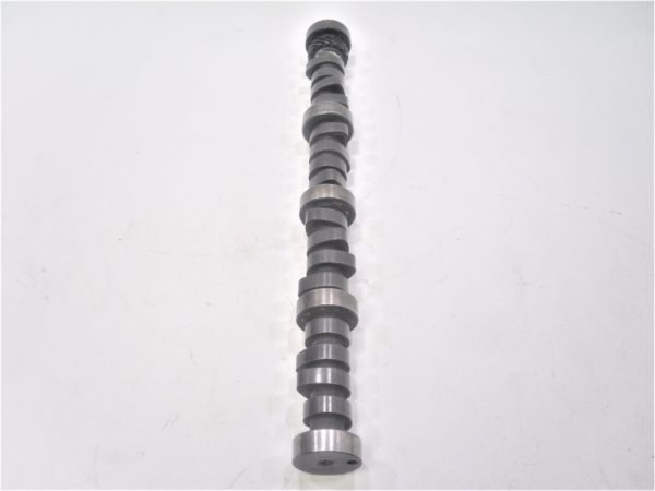 big-joe-camshaft-kjsdfn-vdsfnvkjsdgpbnsdb-hskdb-1-2-scaled