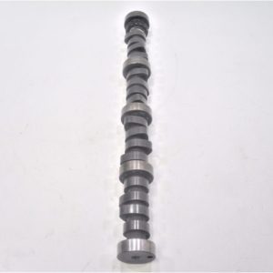 big-joe-camshaft-kjsdfn-vdsfnvkjsdgpbnsdb-hskdb-1-2-scaled