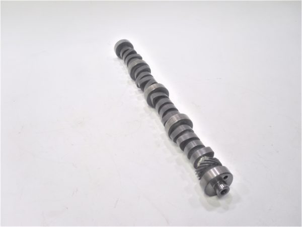 big-joe-camshaft-kjsdfn-vdsfnvkjsdgpbnsdb-hskdb-1-4-scaled