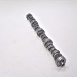 big-joe-camshaft-kjsdfn-vdsfnvkjsdgpbnsdb-hskdb-1-4-scaled