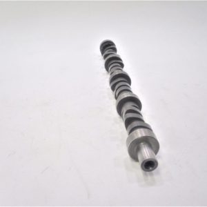big-joe-gm-camshaft-kljdbvjian-oinmvgeru-voinemnuovneqrbuoiiqembo-uaemclo-cwqeokf-1-10-scaled