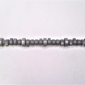 big-joe-gm-camshaft-kljdbvjian-oinmvgeru-voinemnuovneqrbuoiiqembo-uaemclo-cwqeokf-1-9-scaled