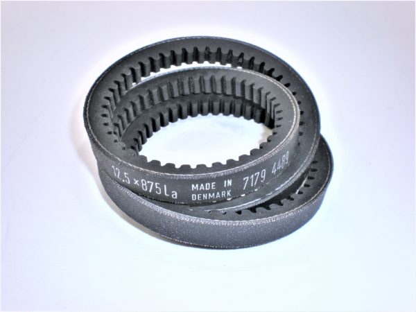 erik-v-belt-asdfgnbvcfghkjhg-1-3-scaled