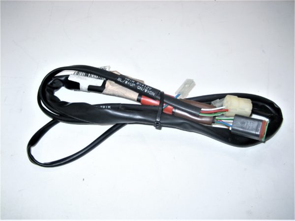 erik-volvo-harness-dfghjcvbsndfgh-1-2-scaled