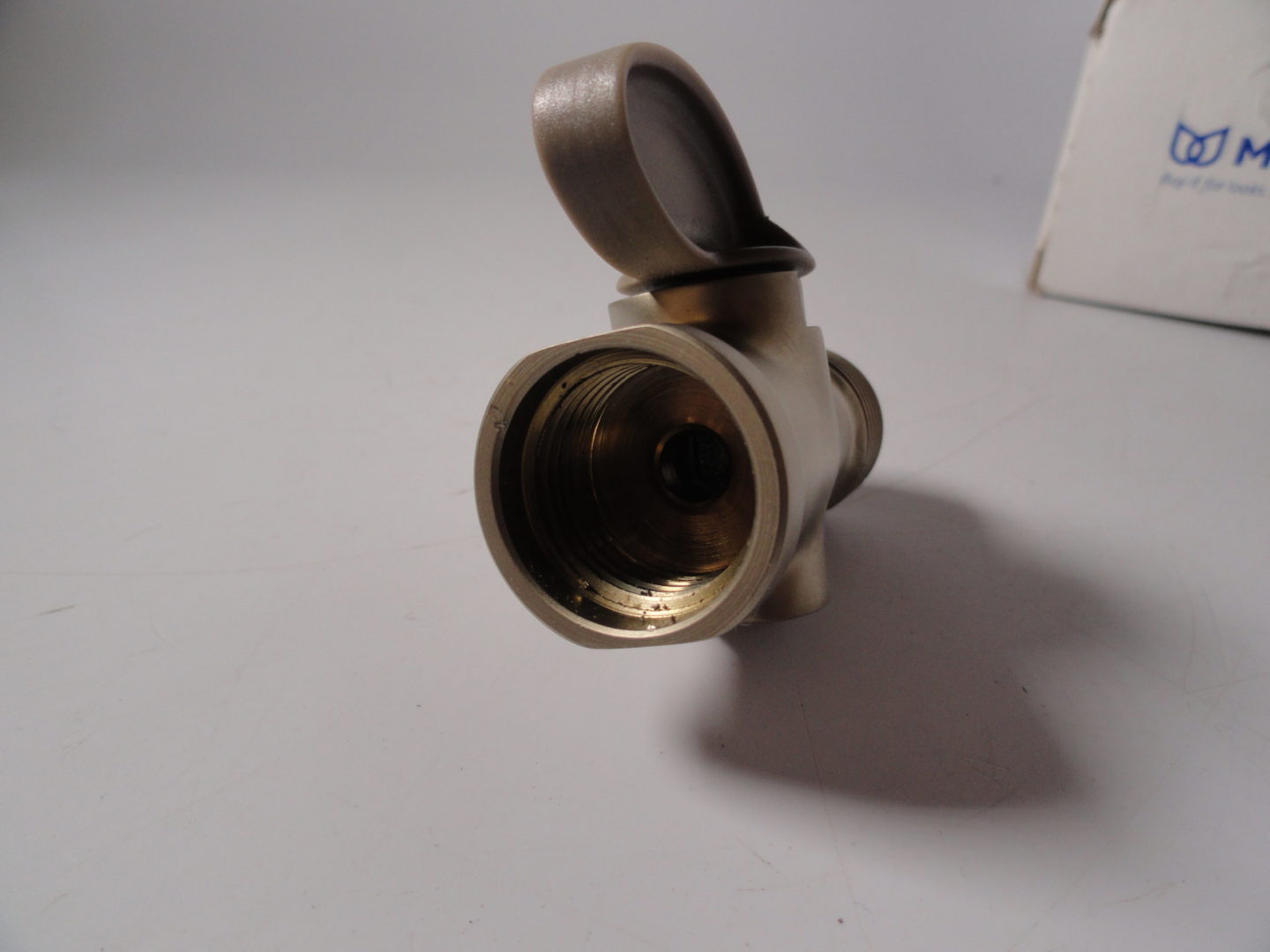 ms-1-1379-scaled