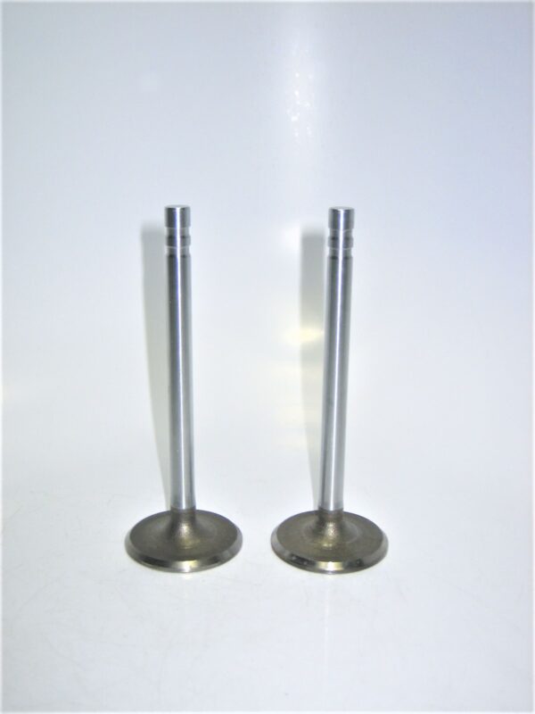 gm-valves-3989088_eh_1252021-3-