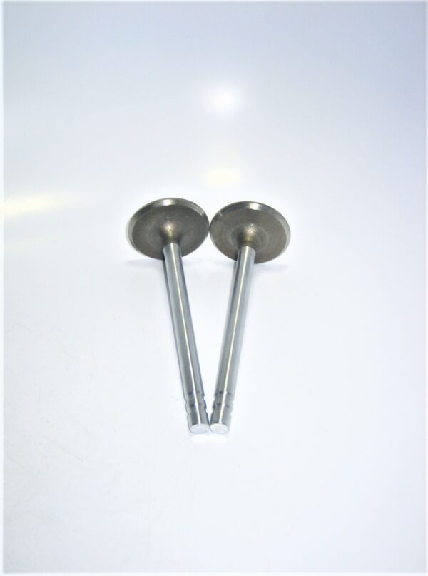 gm-valves-3989088_eh_1252021-5-