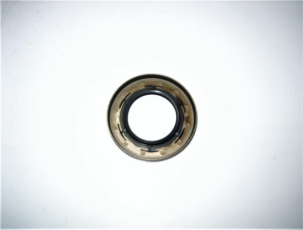 volvo-seal-1546221_eh_1182021-4-