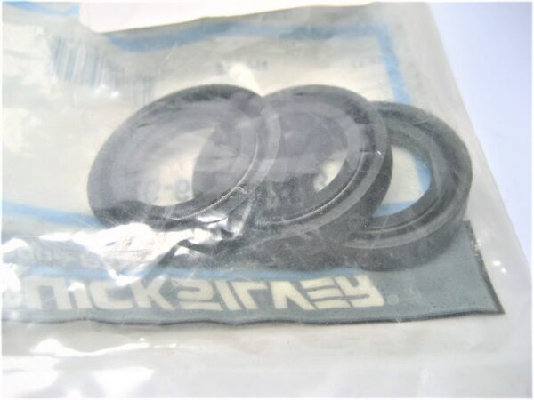 quicksilver-26-66302-seal_js_21921-918-3-