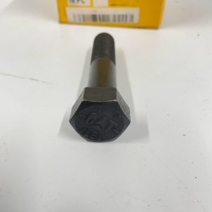 cat_8B-5144_sc_8.8.2023