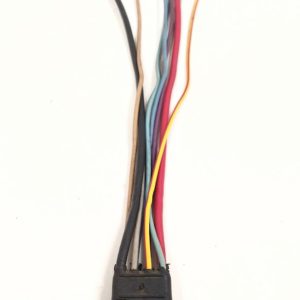 pigtial_853866006972_fo_83123 -1-