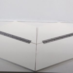 tampcoinc_custom_fo_83123 -6-