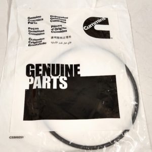 cummins_3968022_fo_91423 -1-