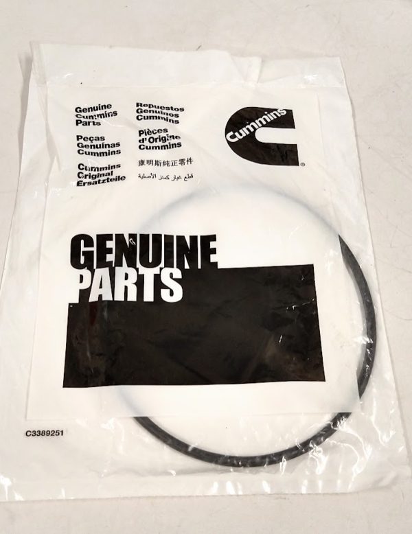 cummins_3968022_fo_91423 -1-