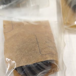 seaboardmarine_69101_fo_101723 -2-