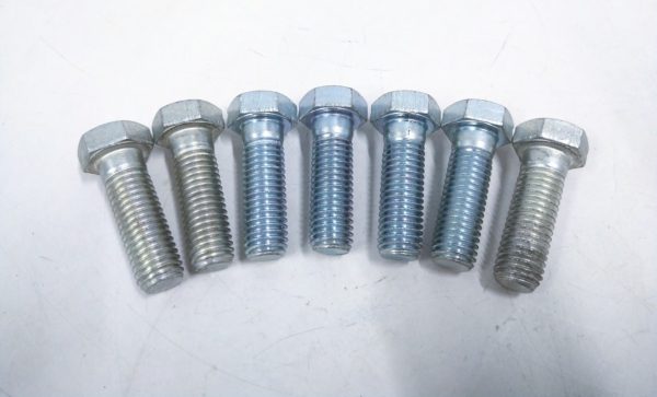 bufo88_bolt_fo_121123 -1