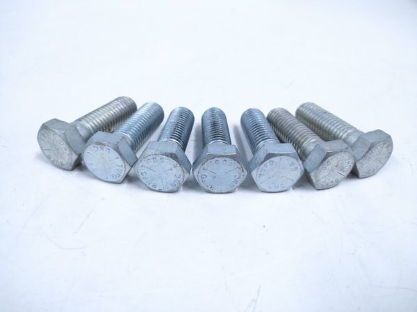 bufo88_bolt_fo_121123 -2