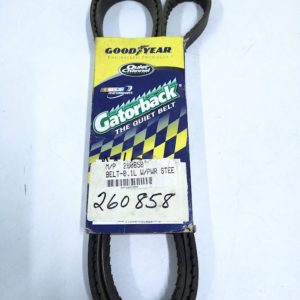 goodyear_260858_fo_12823 -1