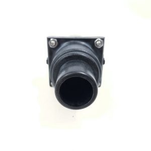 whale_lv1215_fo_12523 -3