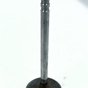 gm-14025571-intake-valve-oem-brandon-y-20240123-145257-149471