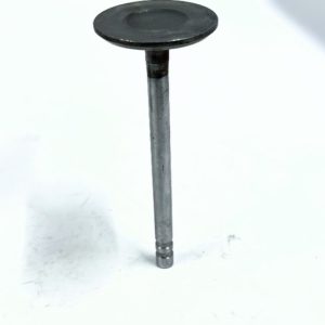 gm-14025571-intake-valve-oem-brandon-y-20240123-145302-224940