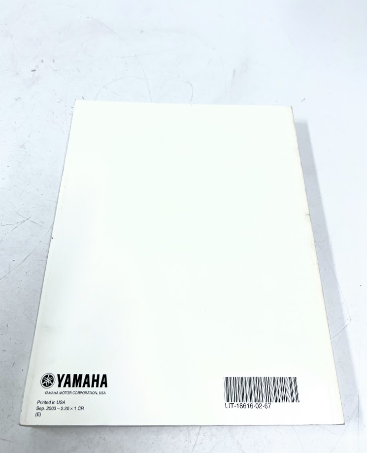 2006 visual data 8