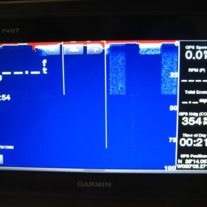 mmomax2154-20240207-005605-382822