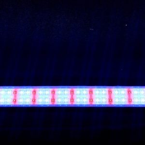 22-in-tubular-led-light-white-red-color-brandon-y-20240419-130646-575348