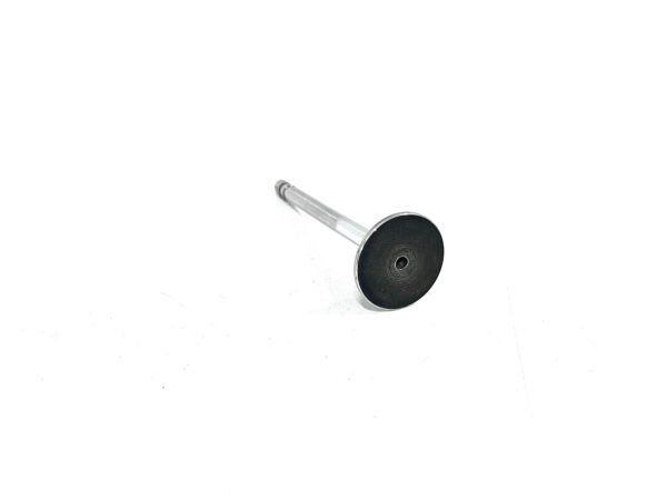 new-sealed-power-v-1904-exhaust-valve-oem-brandon-y-20240713-075018-968355
