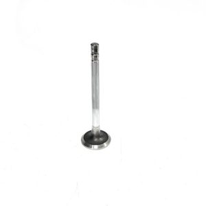 new-sealed-power-v-1904-exhaust-valve-oem-brandon-y-20240713-075022-208439