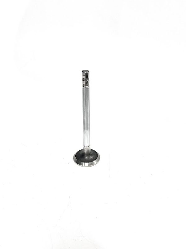 new-sealed-power-v-1904-exhaust-valve-oem-brandon-y-20240713-075022-208439
