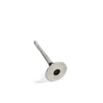 trw-s2090-exhaust-valve-oem-brandon-y-20240713-124909-17315