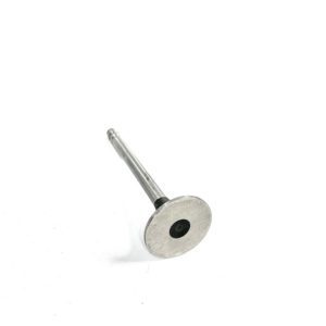 trw-s2090-exhaust-valve-oem-brandon-y-20240713-124909-17315