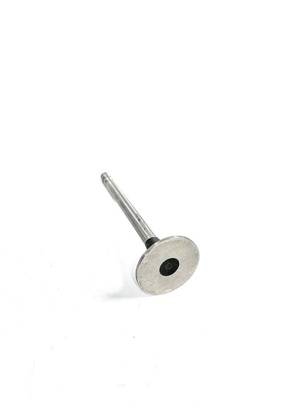 trw-s2090-exhaust-valve-oem-brandon-y-20240713-124909-17315