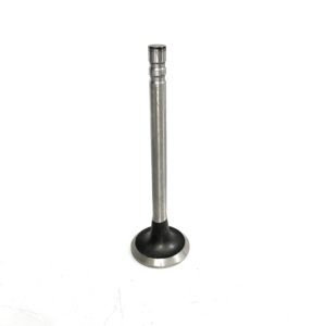trw-s2090-exhaust-valve-oem-brandon-y-20240713-124912-650827