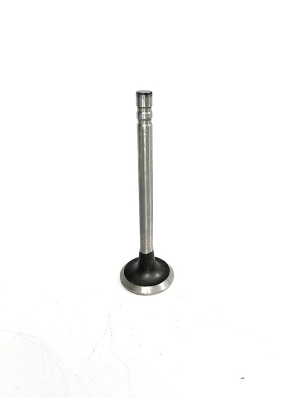 trw-s2090-exhaust-valve-oem-brandon-y-20240713-124912-650827